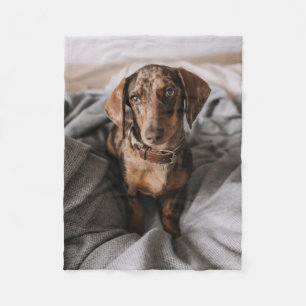 Couverture Polaire Animaux de bébés cutest Dachshund Dachshund Dach