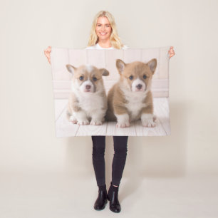 Couverture Polaire Animaux de bébés cutest   Deux Bébés Corgis assis