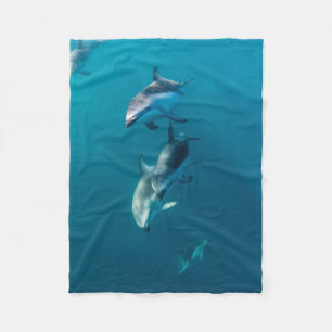 Couverture Polaire Animaux de bébés cutest Famille de dauphins