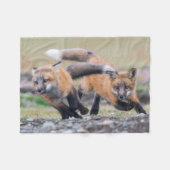 Couverture Polaire Animaux de bébés cutest | Fox Pups en jeu (Devant (Horizontal))