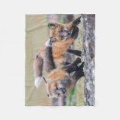 Couverture Polaire Animaux de bébés cutest | Fox Pups en jeu (Devant)