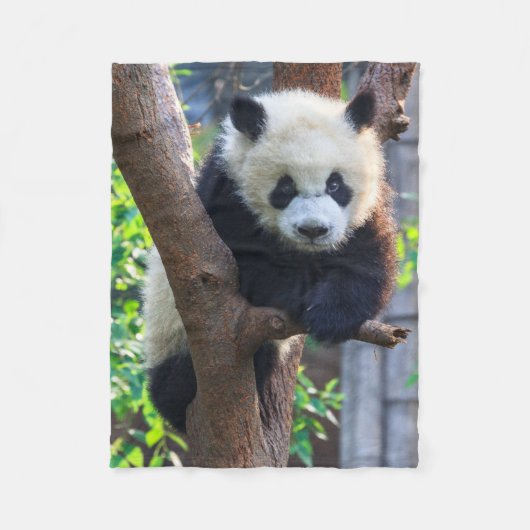 Couverture Polaire Animaux de bébés cutest | Géant Panda Cub (Devant)