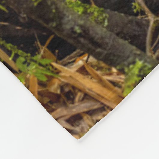 Couverture Polaire Animaux de bébés cutest | Gorilla & bébé (Coin)