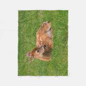 Couverture Polaire Animaux de bébés cutest | Little Fawn (Devant)