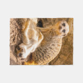 Couverture Polaire Animaux de bébés cutest | Meerkats joueurs (Devant (Horizontal))