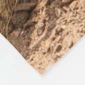 Couverture Polaire Animaux de bébés cutest | Meerkats joueurs (Coin)