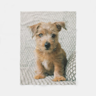 Couverture Polaire Animaux de bébés cutest Norfolk Terrier Puppy