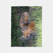 Couverture Polaire Animaux de bébés cutest | Paire de frères et soeur (Devant)