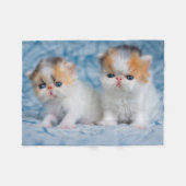 Couverture Polaire Animaux de bébés cutest | Persian Calico Kitten (Devant (Horizontal))