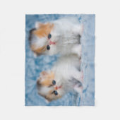 Couverture Polaire Animaux de bébés cutest | Persian Calico Kitten (Devant)