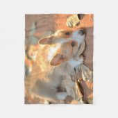 Couverture Polaire Animaux de bébés cutest | Shy Corgi (Devant)