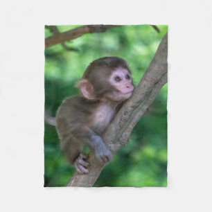 Couverture Polaire Animaux de bébés cutest   Singe bébé