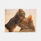 Couverture Polaire Animaux de bébés cutest | Tabby Kitten Kiss (Devant (Horizontal))
