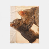 Couverture Polaire Animaux de bébés cutest | Tabby Kitten Kiss (Devant)