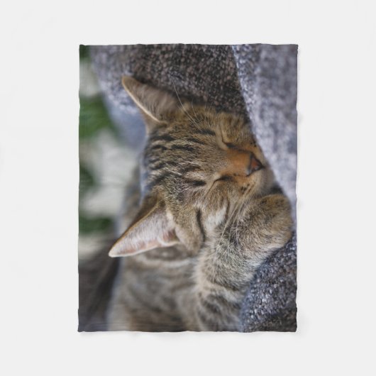 Couverture Polaire Animaux de bébés cutest | Tabby Kitten Sommeil (Devant)