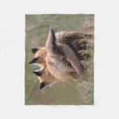 Couverture Polaire Animaux de bébés cutest | Tails de verrouillage de (Devant)