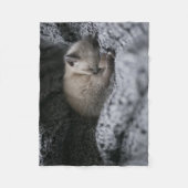 Couverture Polaire Animaux de bébés cutest | Tiny Kitten Dormir (Devant)