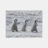 Couverture Polaire Animaux de bébés cutest | Trois Épouses Penguin Em (Devant (Horizontal))