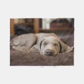 Couverture Polaire Animaux de bébés cutest | Weimaraner Puppy Sleepin (Devant (Horizontal))