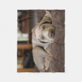 Couverture Polaire Animaux de bébés cutest | Weimaraner Puppy Sleepin (Devant)