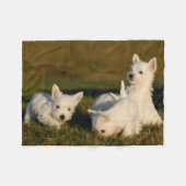 Couverture Polaire Animaux de bébés cutest | West Highland White Terr (Devant (Horizontal))