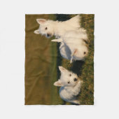 Couverture Polaire Animaux de bébés cutest | West Highland White Terr (Devant)