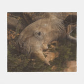 COUVERTURE POLAIRE ANIMAUX SAUVAGES RHINO (Devant (Horizontal))