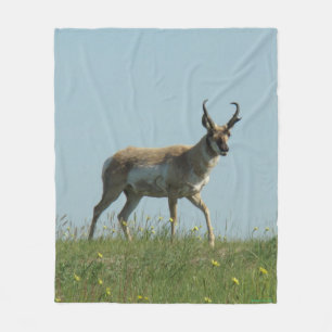 Couverture Polaire Antilope d'Amérique A10 marchant à travers des fle