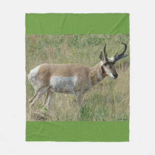 Couverture Polaire Antilope d'Amérique A12 Grand Buck