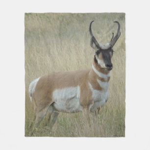 Couverture Polaire Antilope d'Amérique A9 Gros Buck
