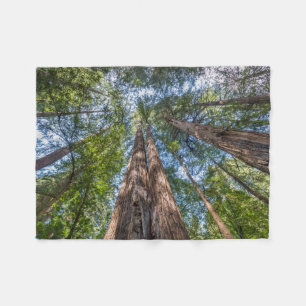 Couverture Polaire Arbres de séquoia Comté de Marin, Californie