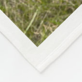 Couverture Polaire Asclépiade | Papillon | (Coin)