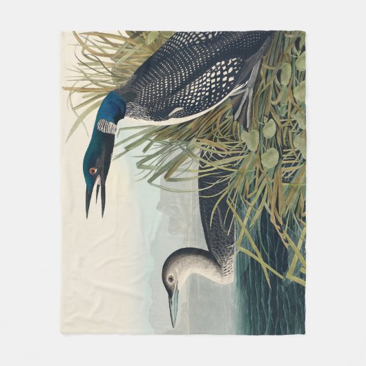 Couverture Polaire Audubon Bird Loon Diver Classic (Devant)