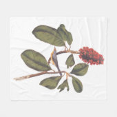 Couverture Polaire Audubon Bonaparte Flycatcher Bird (Devant (Horizontal))