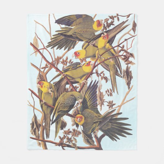 Couverture Polaire Audubon Carolina - Éclosion de perruques (Devant)