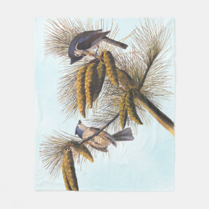 Couverture Polaire Audubon Crested Titmouse Birds in Pine Tree