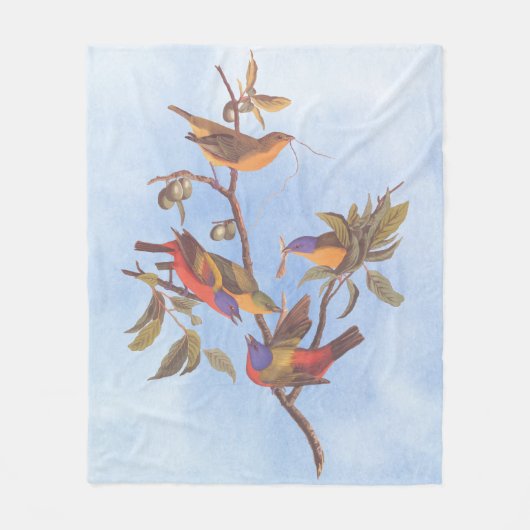 Couverture Polaire Audubon Painted Bunting Birds is Wild Plum Tree (Devant)