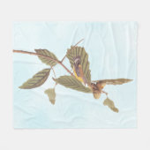 Couverture Polaire Audubon Swainson's Warbler Bird on Oak Branch (Devant (Horizontal))