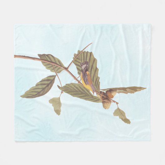 Couverture Polaire Audubon Swainson's Warbler Bird on Oak Branch (Devant (Horizontal))