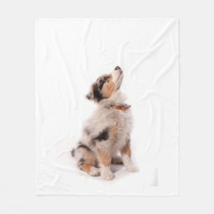 Couverture Polaire Australian shepherd puppy