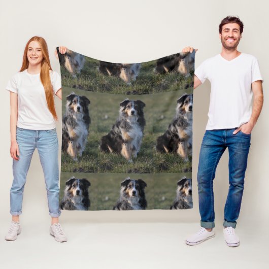 Couverture Polaire australien-berger-bleu merle assis (En situation)
