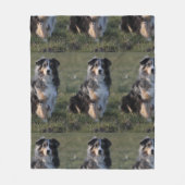 Couverture Polaire australien-berger-bleu merle assis (Devant)