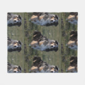 Couverture Polaire australien-berger-bleu merle assis (Devant (Horizontal))