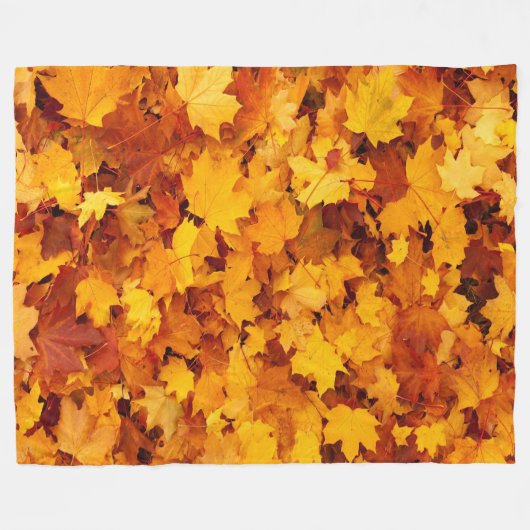 Couverture Polaire Automne (Devant (Horizontal))