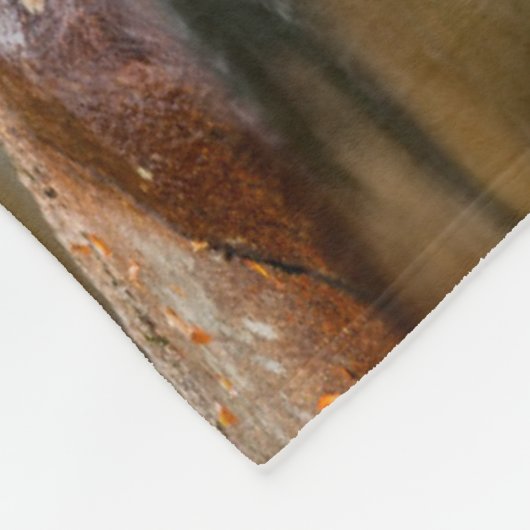 Couverture Polaire Automne à Jefferson Brook, New Hampshire (Coin)