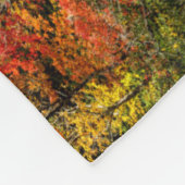 Couverture Polaire Automne à Sims Pond North Carolina, Blue Ridge (Coin)