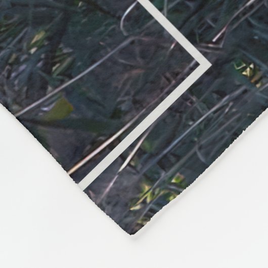 Couverture Polaire Automne Sur Beardsley Pond (Coin)