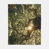 Couverture Polaire Auvent Sunstar de banian (Devant)