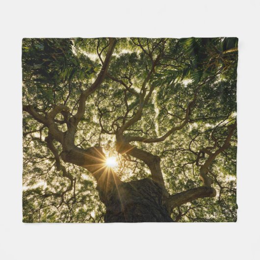 Couverture Polaire Auvent Sunstar de banian (Devant (Horizontal))