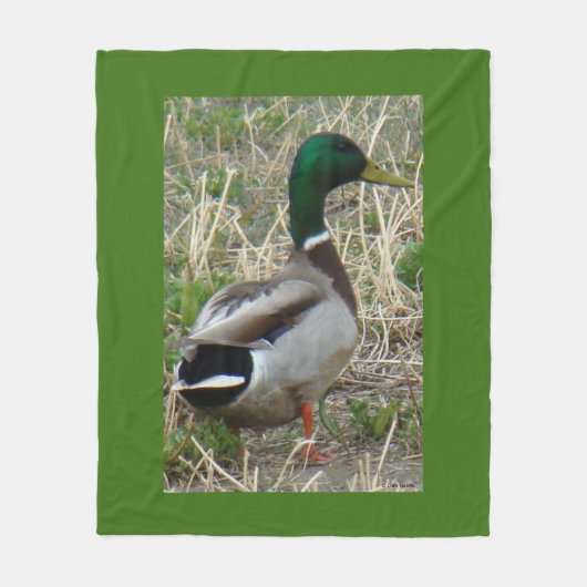 Couverture Polaire B12 Duck-Mallard Drake (Devant)
